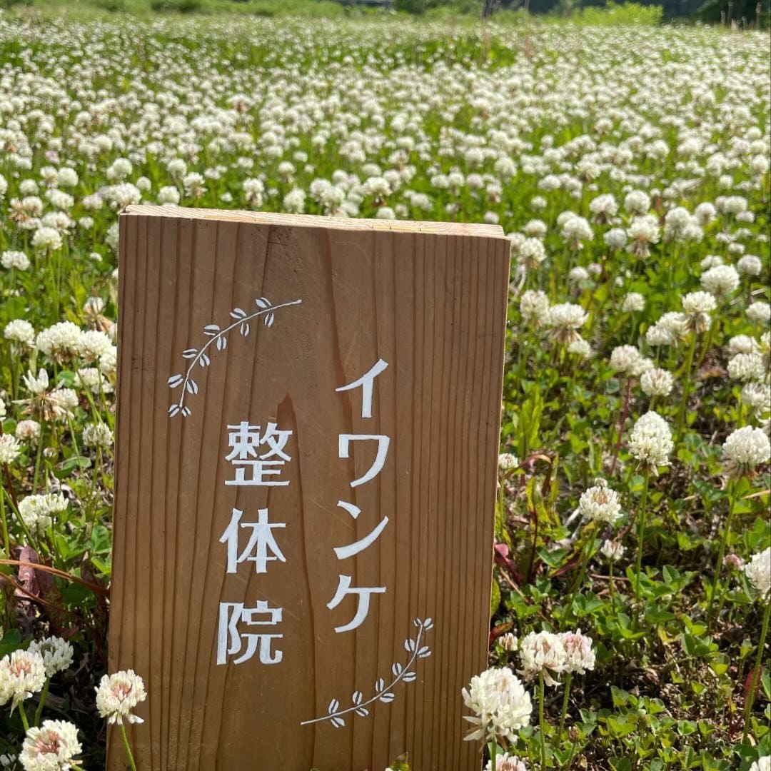 イワンケ整体院