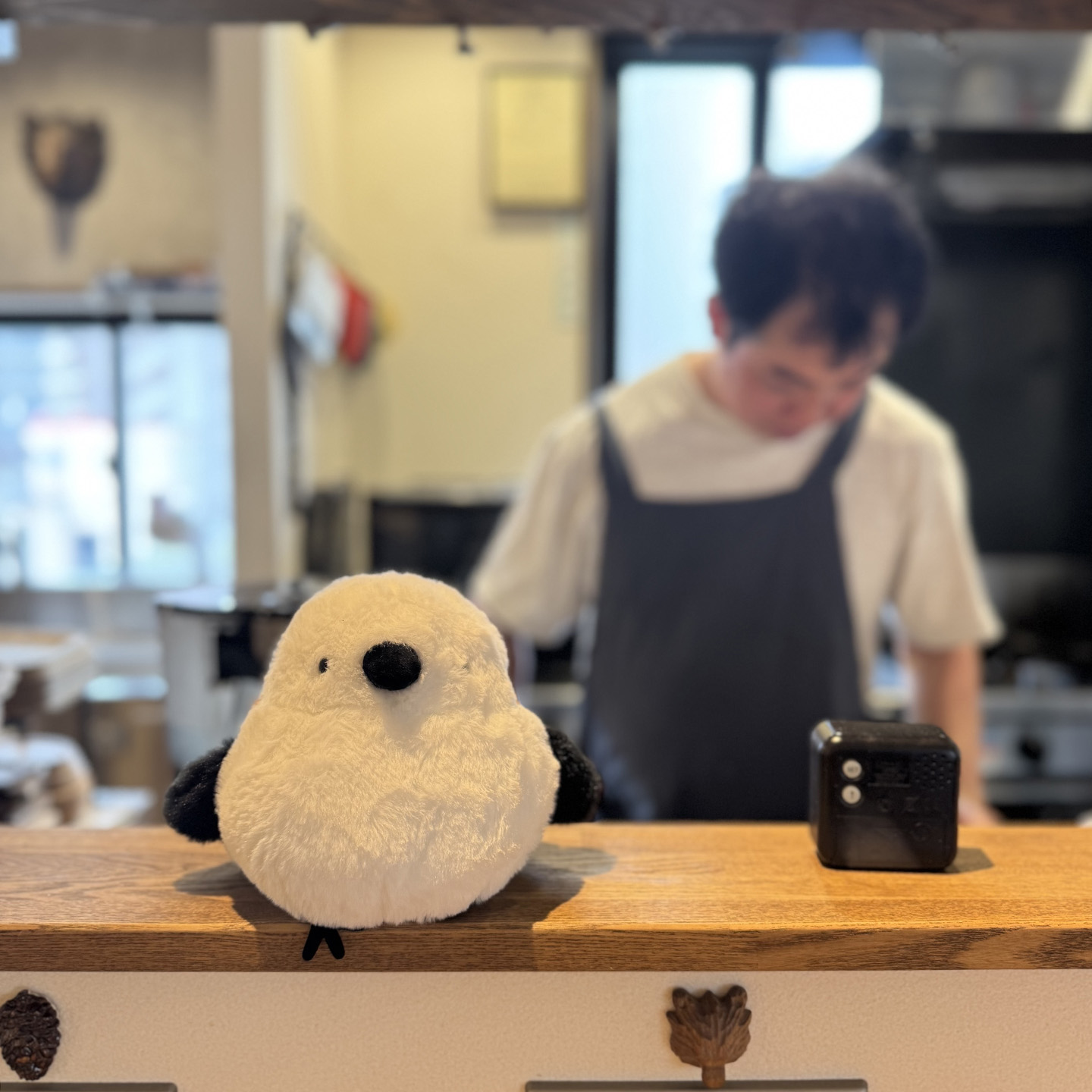 ibasho じゅんカフェ 写真2